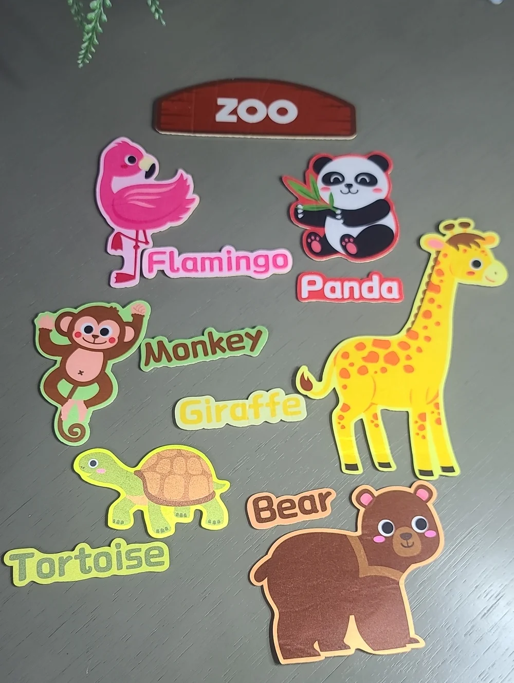 Zoo Animal With Name Velcor  Set Of 19 Colorful Animals
